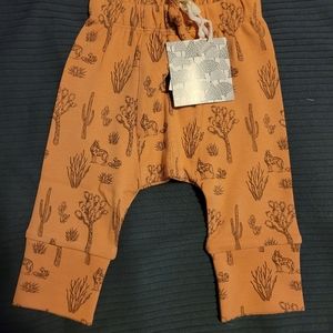 Kate quinn panda pants 3-6